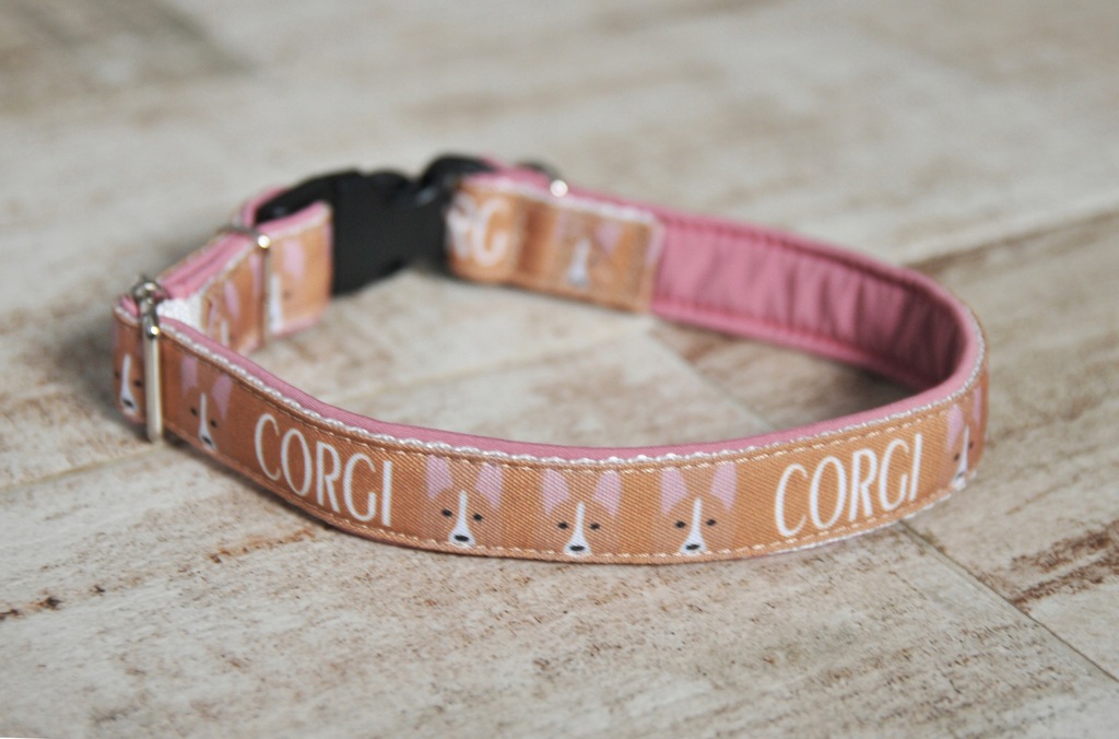 Corgi, obroża - kolory, rodzaje
