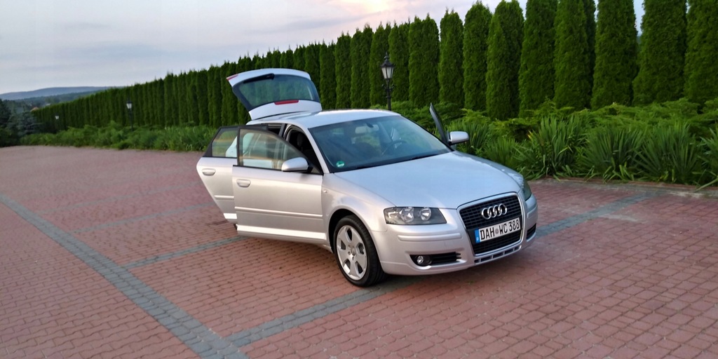 Audi A3 1.6 MPI.102km. Sportback Zadbana z Niemiec