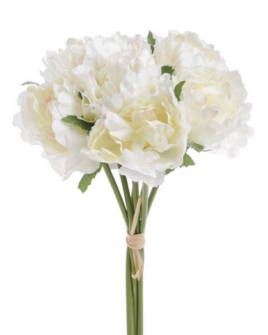 Peonie piwonie w bukiecie białe -Dalia-RP-