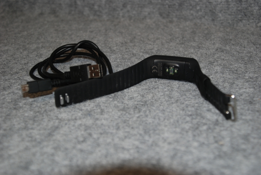 smartband polar