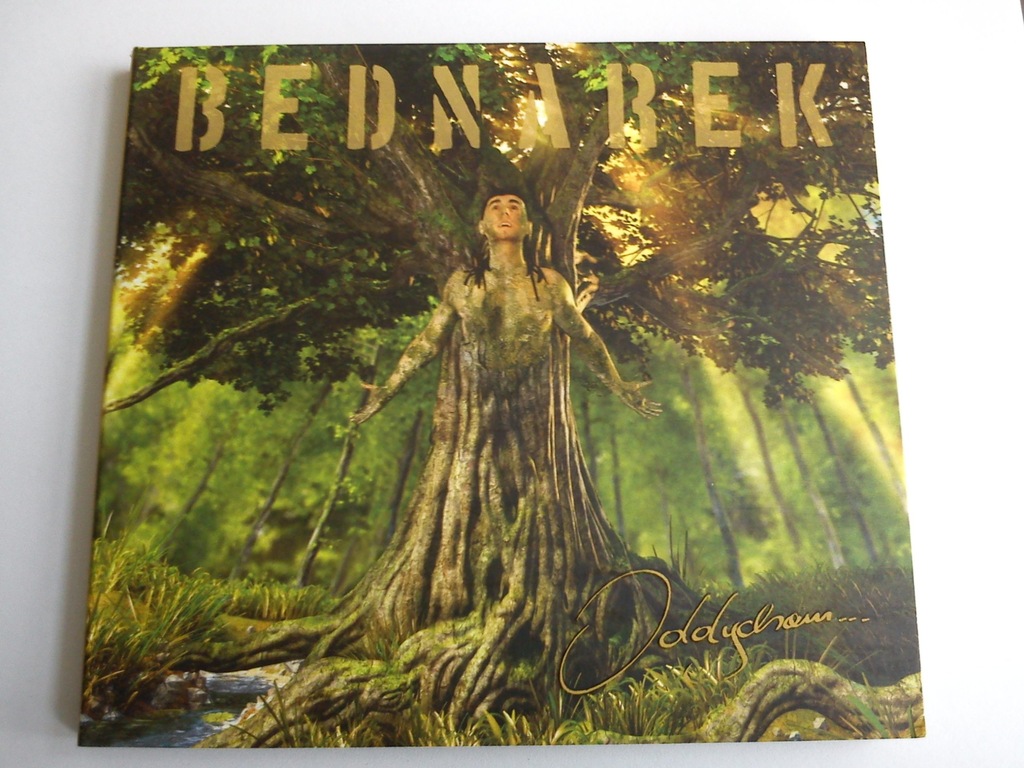 KAMIL BEDNAREK - ODDYCHAM... euforia list chwile