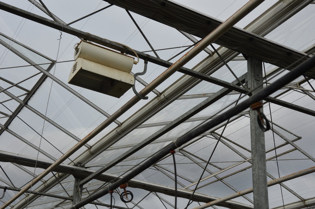 Lampa sodowa Asymilacyjna 600W szklarnia kwiaty