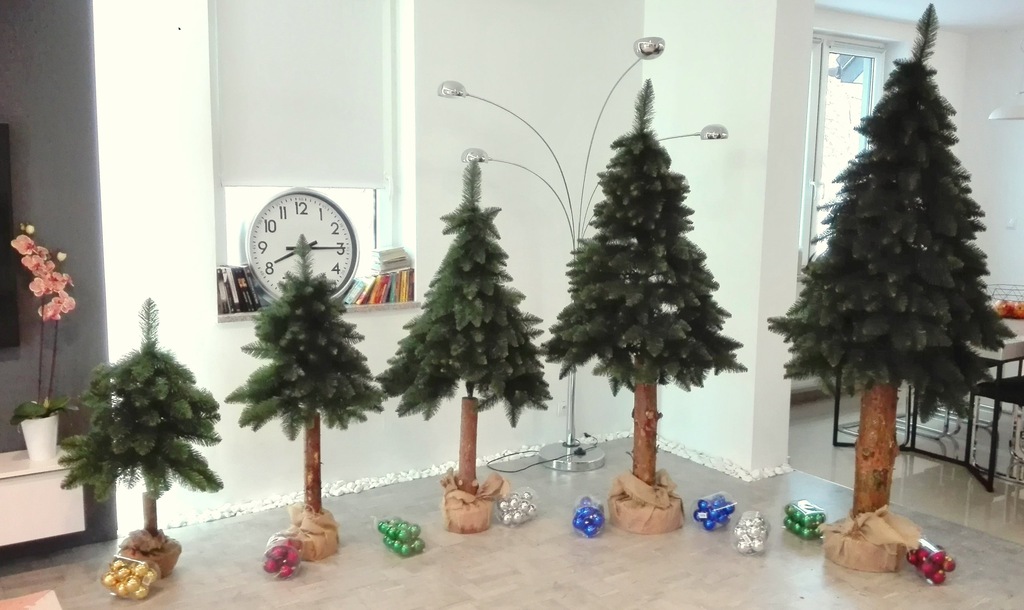 Choinka na pniu, nowoczesna, świerk , gęsta 130cm