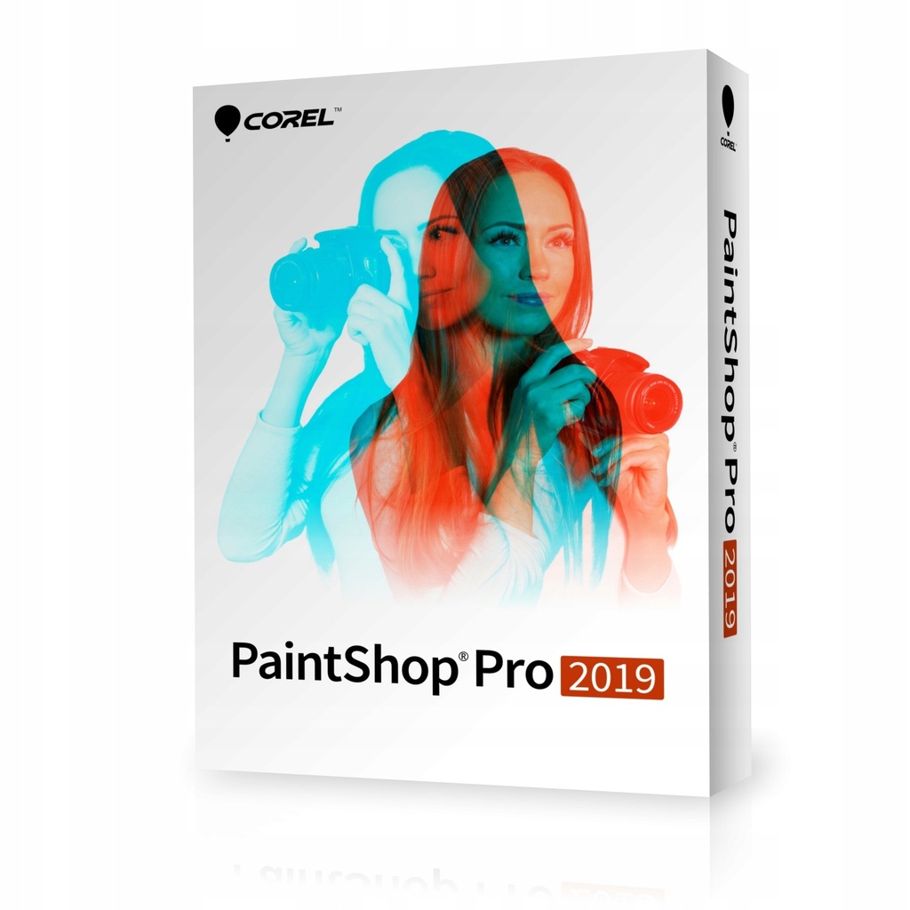Corel Pro 2019 7565327132 oficjalne archiwum Allegro