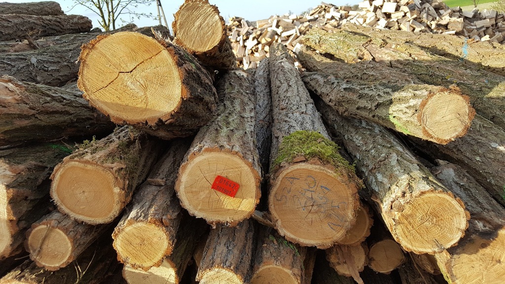 Słupki ogrodzeniowe AKACJOWE L=2,4m-2,5m fi10-17cm