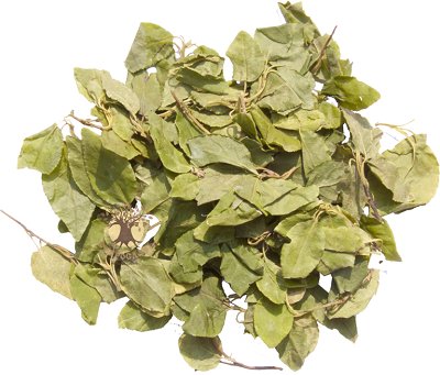 Borowa Matka Gruszynka jednostronna kobieca 70g