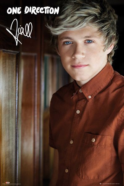 One Direction Niall Horan - plakat 61x91,5 cm