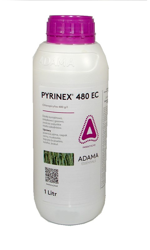 PYRINEX 480 EC 1L na pędraki, dursban, S