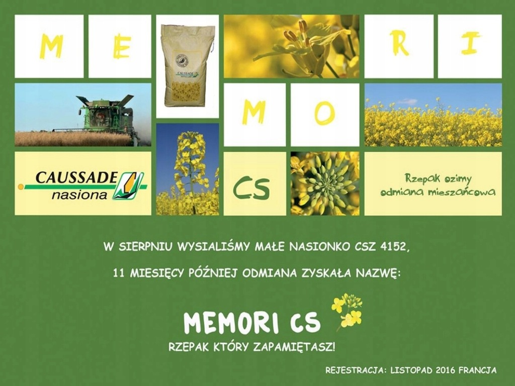 RZEPAK MEMORI CS 1.5 MLN NASION 1
