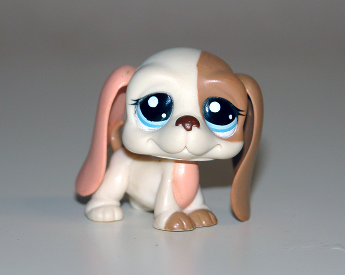 lps basset