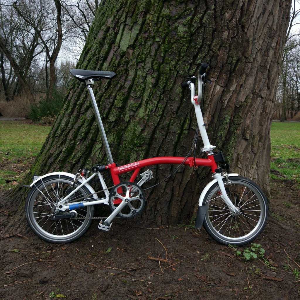 rower brompton