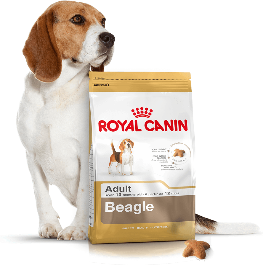 Роял канин бигль. Какой корм для бигля. Hill's puppy medium ягненок рис 2. Royal canin для бигля щенка. Роял канин для биглей щенков.