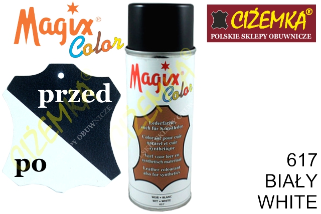 magix color leather spray
