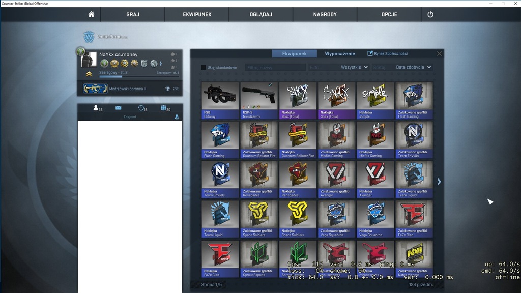Super Konto Cs Go Mg2 + skiny GTA V The forest!!!