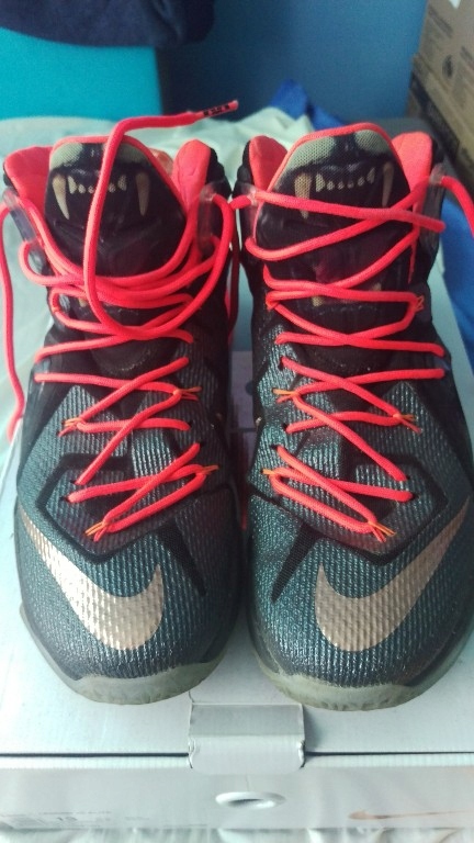 Nike Lebron 12 Rose