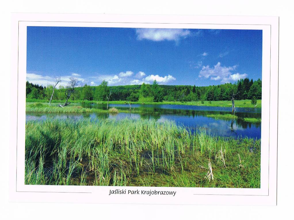 JASIEL JAŚLISKA Park Krajobrazowy Beskid Niski
