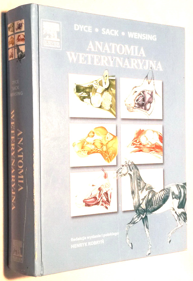 ANATOMIA WETERYNARYJNA DYCE SACK WENSING WOW