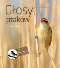 Głosy ptaków Tom 2 + CD Kruszewicz gatunki fauna