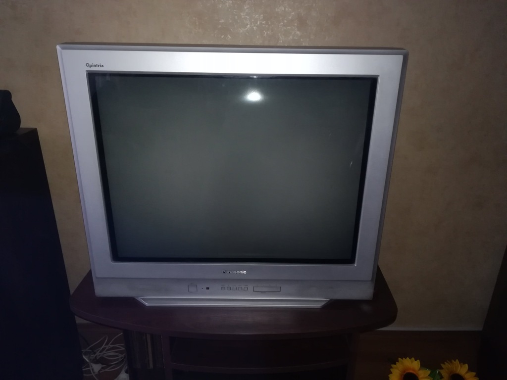 Telewizor Panasonic TX29PN1P 29 cali. 