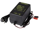 AUTOMATIC CHARGER FOR BATTERY 6V 0,5A photo 1 - milautoparts-fr.ukrlive.com