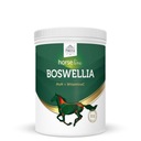 HORSE LINE Boswellia MSM добавка для суставов 900г