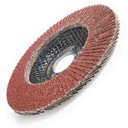 FLAP DISC FLAP 125 гр 36 MT