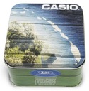 CASIO LCW-M170D-1AER Farba puzdra strieborná