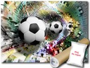 FOTOTAPETA FLIZELINA FUTBAL TUNEL 3D 254x184