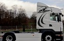 НАКЛЕЙКИ SCANIA R TOPLINE HIGHLINE ШАБЛОН НАКЛЕЙКИ 10