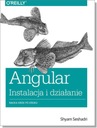 Angular: установка и работа. Обучение шаг за шагом