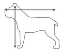 Pelech pre psa ortopedická mačka L 80x60cm visco Šírka produktu 60 cm