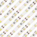 300 Светодиодная лента 2835 SMD IP20 рулон 5м NW 4Вт/м