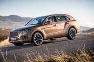 Подушка пасажира, пассажира bentley щупа - фото