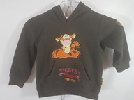 DETSKÝ FLEECE DISNEY 98/ CM 3 ROKY