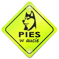 PIES W AUCIE ODBLASK NEON NA SAMOCHÓD PRZYSSAWKI