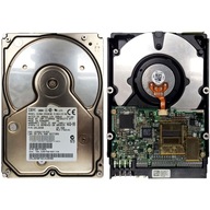 Pevný disk IBM DJNA-352030 | PN 25L2650 | 20GB PATA (IDE/ATA) 3,5"