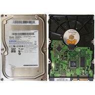 Pevný disk Samsung HD403LJ | REV A 06 | 400GB SATA 3,5"