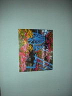 PEREŁKI NR 55 CHCĘ BYĆ PRZYJACIELEM