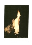 Pocztówka - Portret konia II / koń, obraz