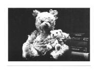 Pocztówka - Misie o północy i książka Grishama