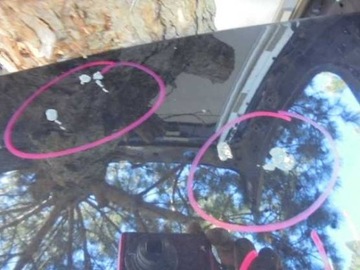 фото thumb №4, Ford focus hb 2012 кришка задня заднє зад комплект