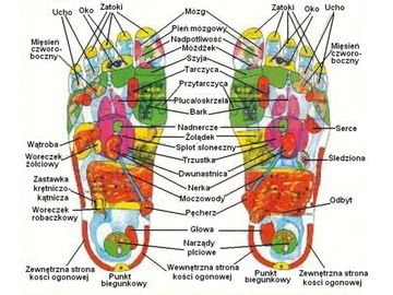 10 ОРИГИНАЛЬНЫХ ПАТЧЕЙ KINOKI ДЕТОКСИНГОВЫХ ЗАБОЛЕВАНИЙ