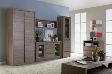 Шкаф для гостиной, спальни с полками и штангой MONTANA S2D, ДУБ ТРЮФЕЛЬ