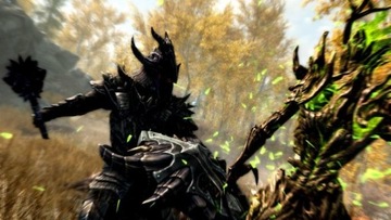 The Elder Scrolls Skyrim, специальное издание