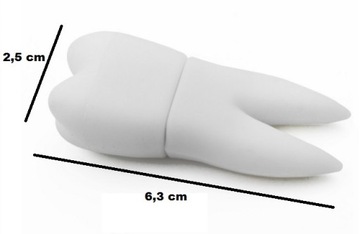 PENDRIVE USB 32 GB ZĄB DENTYSTA STOMATOLOG