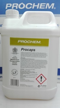 Prochem S745 чистка обивки и потолка SP9