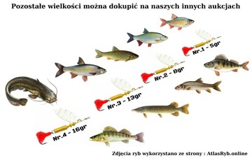 BŁYSTKA PERFEKT APACZ Nr.4 / 16 gr GOLD