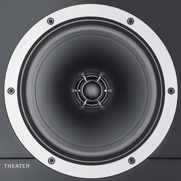 Teufel Theater 500S, Стереодинамики черного цвета