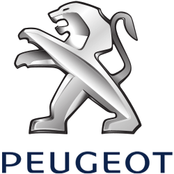 АМОРТИЗАТОРЫ, ПРУЖИНЫ ЗАДНИЕ PEUGEOT 407 SW КОМПЛЕКТ