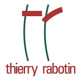 ANNA POLLEN _ THIERRY RABOTIN ботильоны, замша, графит